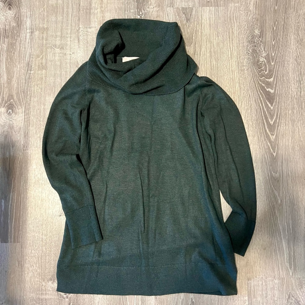 Loft Turtleneck Tunic Sweatet